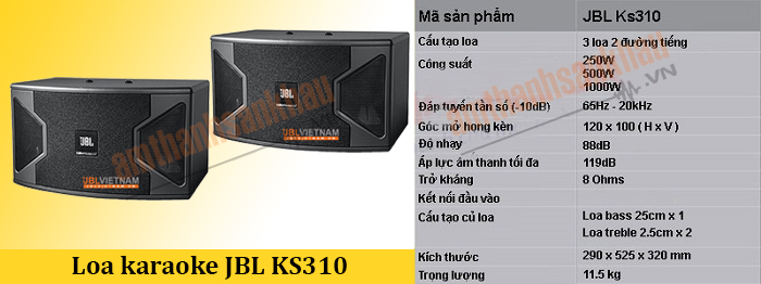 Loa karaoke JBL giá rẻ KS 310
