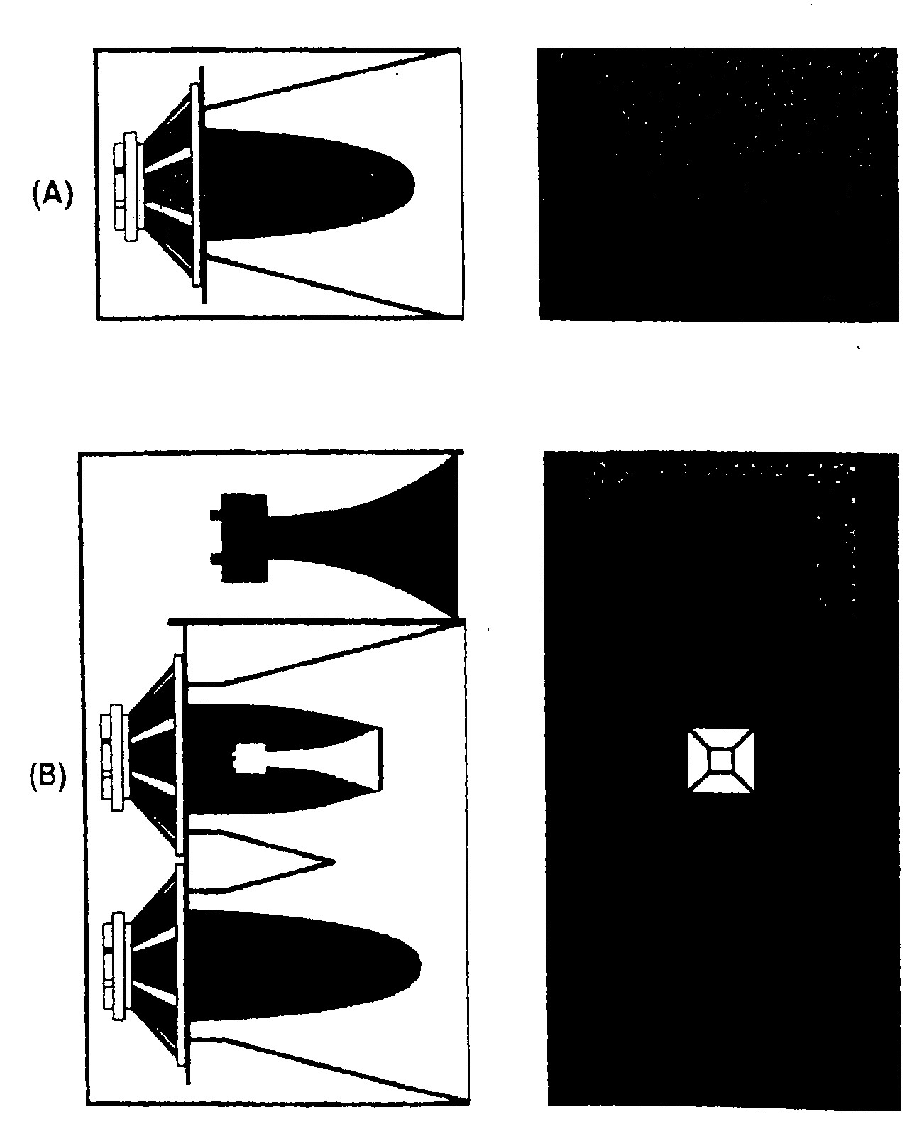 Phasing plug (chắn sự định phase)
