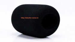 Phụ kiện cho micro Electro Voice WSPL-2