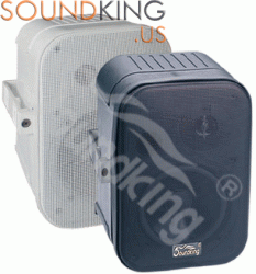 Loa thùng hội trường Soundking FP205