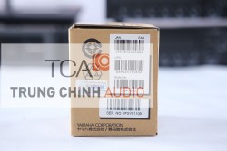 Loa treo tường Yamaha VXS1MLB