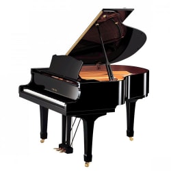 Piano lớn (Grand Piano) C6