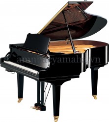 Piano lớn (Grand Piano) GC1