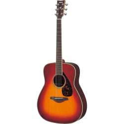 Guitar Acoustic (Guitar thùng) FG700MS
